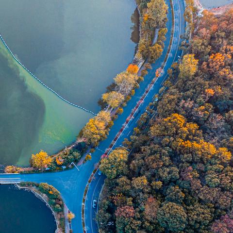 武汉市科技局干什么的