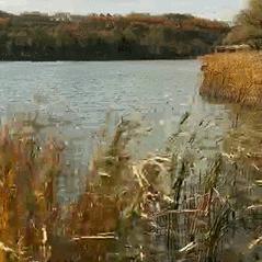 长春市水边小区二手房的长尾关键词有什么