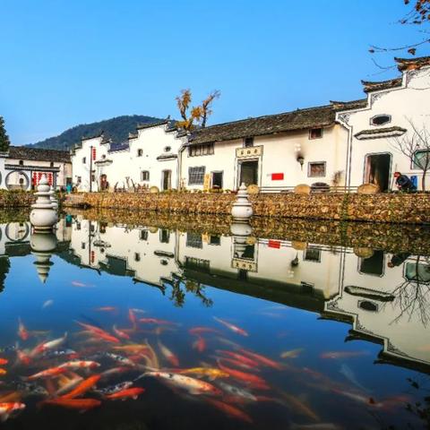 温州市大方伯是哪里