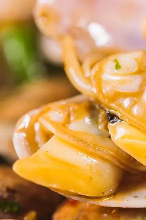 群店怎么解决ip 店群物流怎么解决