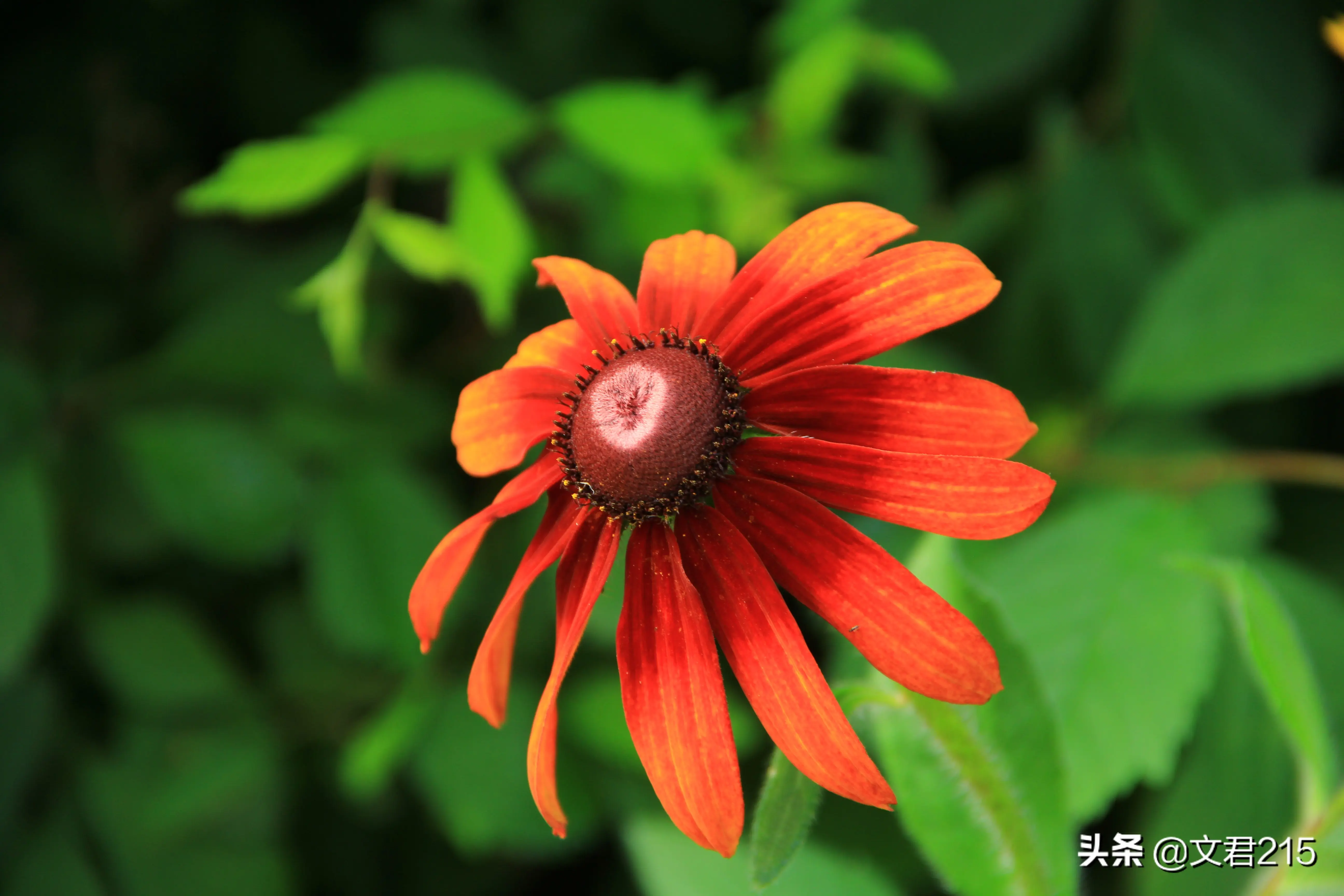 快手拍什么好 拍快手拍什么内容好