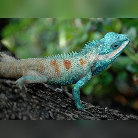 昆明市培训机构注册的长尾关键词有哪些