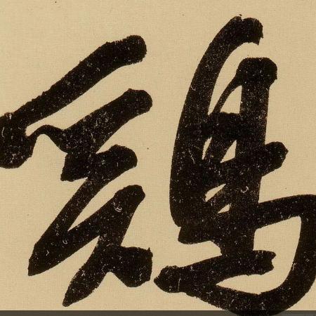 简化动物图片大全的长尾关键词是什么