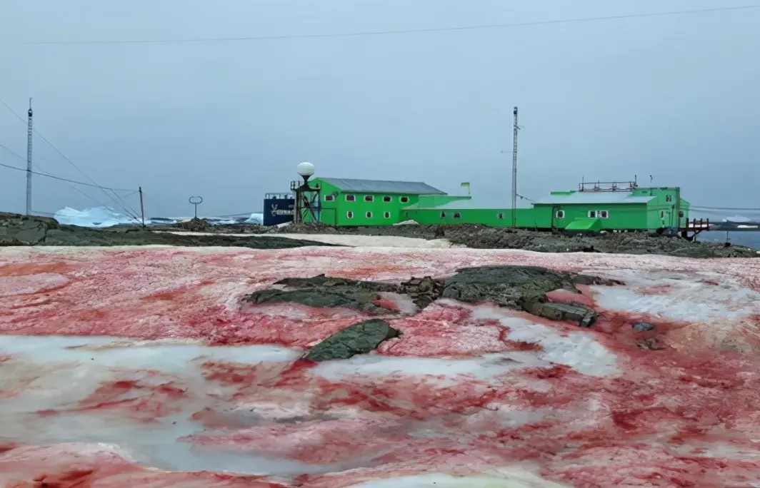 喜马拉雅怎么删除播放栏 怎么保存喜马拉雅播放栏