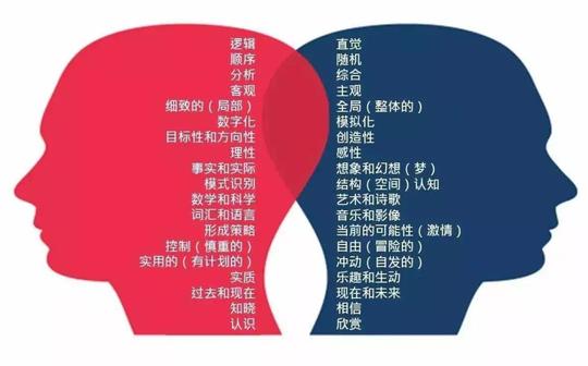认为右脑开发是骗局不可信？少年记忆大师都被世界名校争抢了