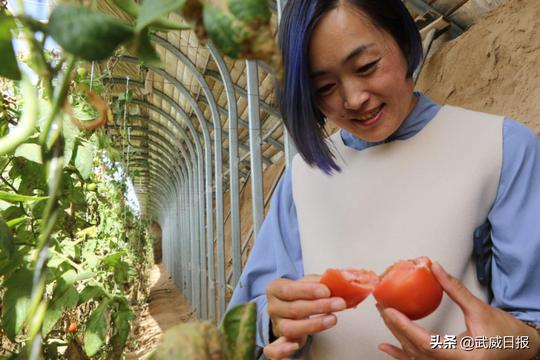 武威姑娘曹文花：电商圆了致富梦