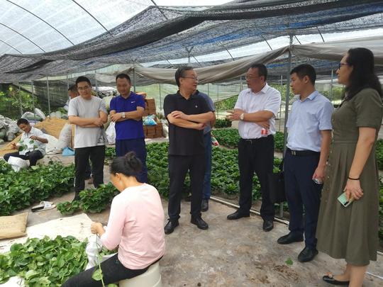 重庆市残联来涪陵调研残疾人就业创业工作