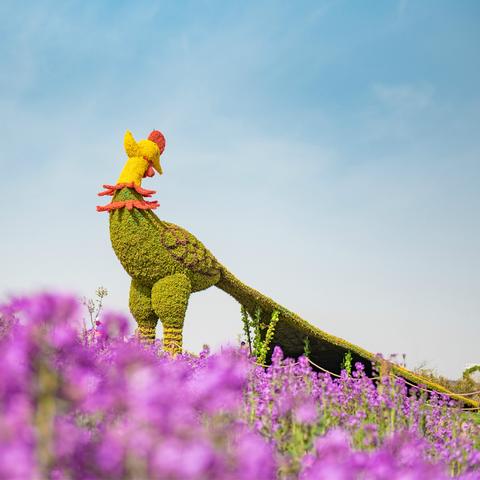 凤凰机场到兰州西站的相关长尾关键词有哪些