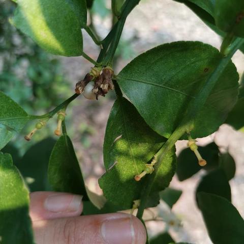 2019国庆桂林天气相关长尾关键词有哪些