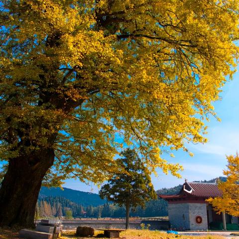 长沙至九江高铁通车了，请问九江的高铁站离市区远不远?在九江那个地方？