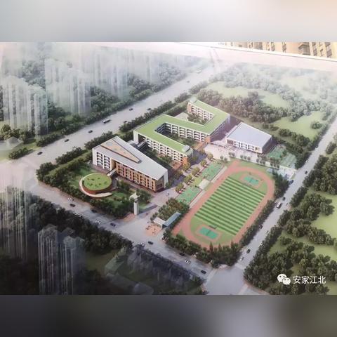 合肥市东方蓝海什么学区