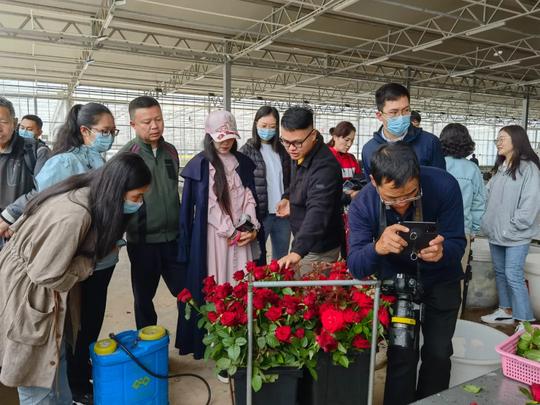 鲜花铺开致富路~开远打造世界一流“绿色食品牌”引中央及省州媒体关注~