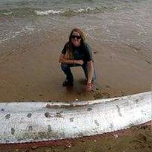 生肖蛇30日运势查询(生肖蛇30日运势查询吉凶)