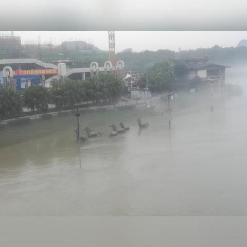 桂林市解放桥卖狗的店在哪里