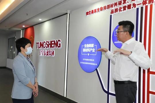 辽宁法院法治化营商环境建设典型案例