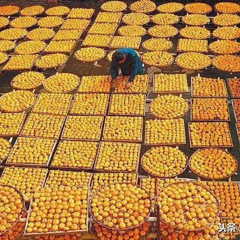 广州市竹山村有什么好厂