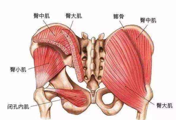 不要以为你的臀部大就可以拒绝做骨盆测量