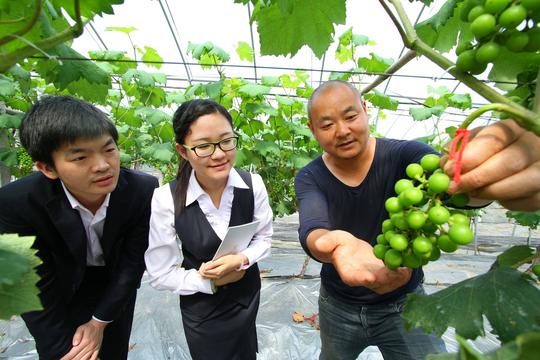 农村创业都有哪些低成本项目？
