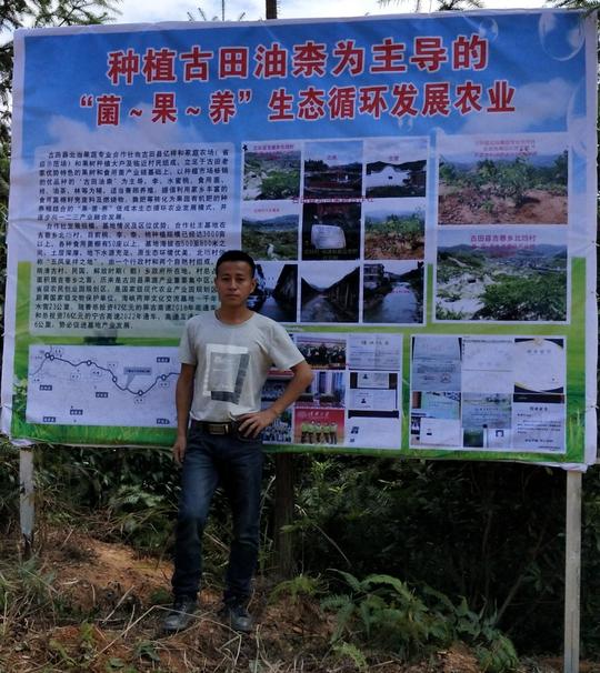 陈妙亿：发展以种植古田油柰为主导的“菌-果-养”生态循环农业