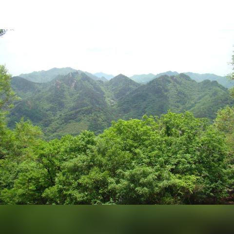 鞍山什么时候下霜