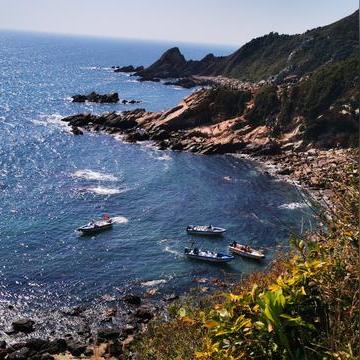 深圳市为什么没有黑车卖