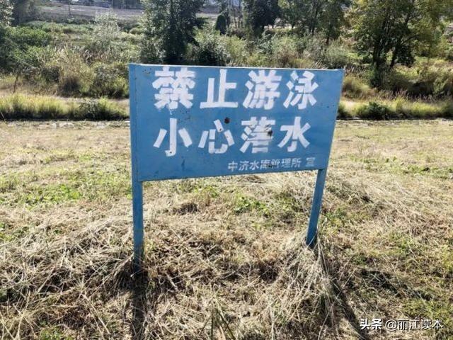 婴儿游泳有危险吗