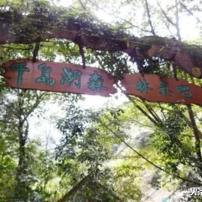 上海有哪些大型滑道