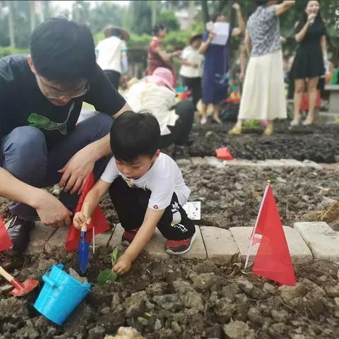 广州市有什么新的活动