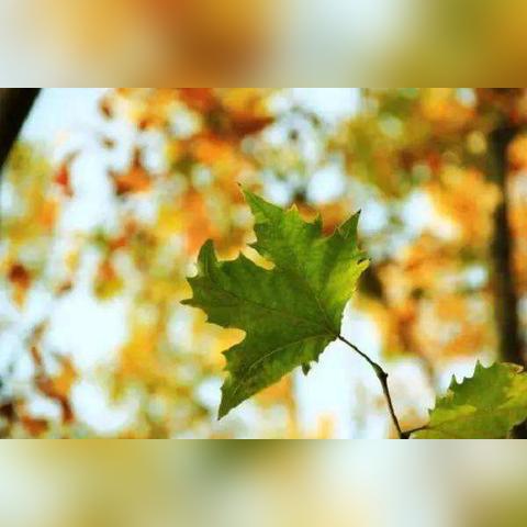 昆明市教师实习工资的长尾关键词有什么