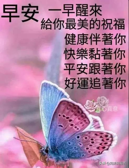 六月请善待自己说说