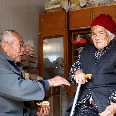 菏泽市商用油炸锅哪里买