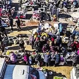 哈尔滨市赶集地方有哪些