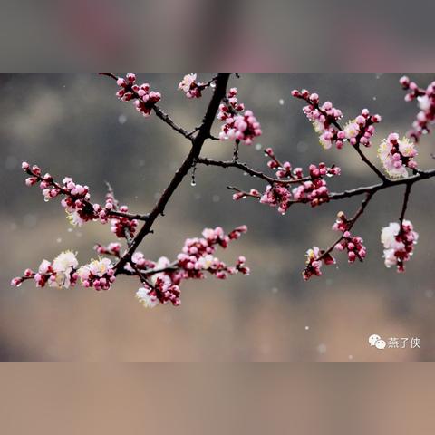 雨雪是怎么形成的