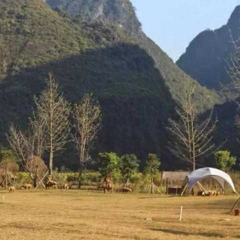 桂林市主题民宿有哪些
