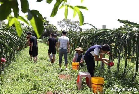 犹如下海创业，一大波农民涌入自媒体，是好？是坏？为你揭晓