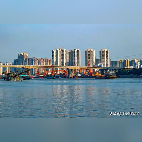 广东佛山市顺德区容桂鱼人码头的长尾关键词有什么