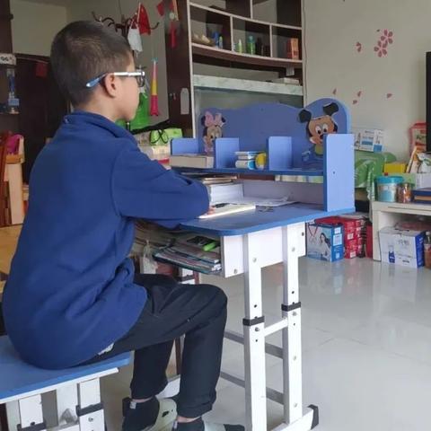 南宁城市树的相关长尾关键词有哪些