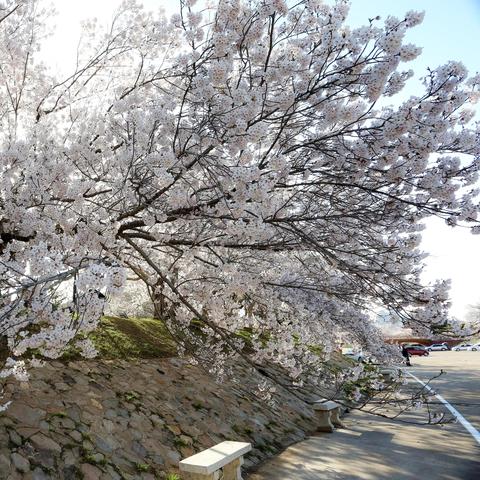 大连市龙王塘有什么