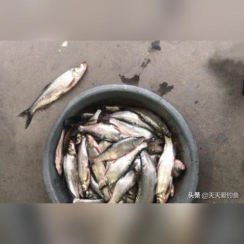 夏季做什么生意赚钱的长尾关键词有哪些