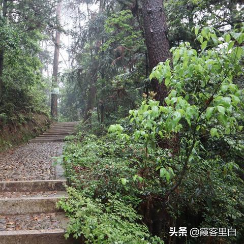 福建山顶小火车图片的相关长尾关键词有哪些