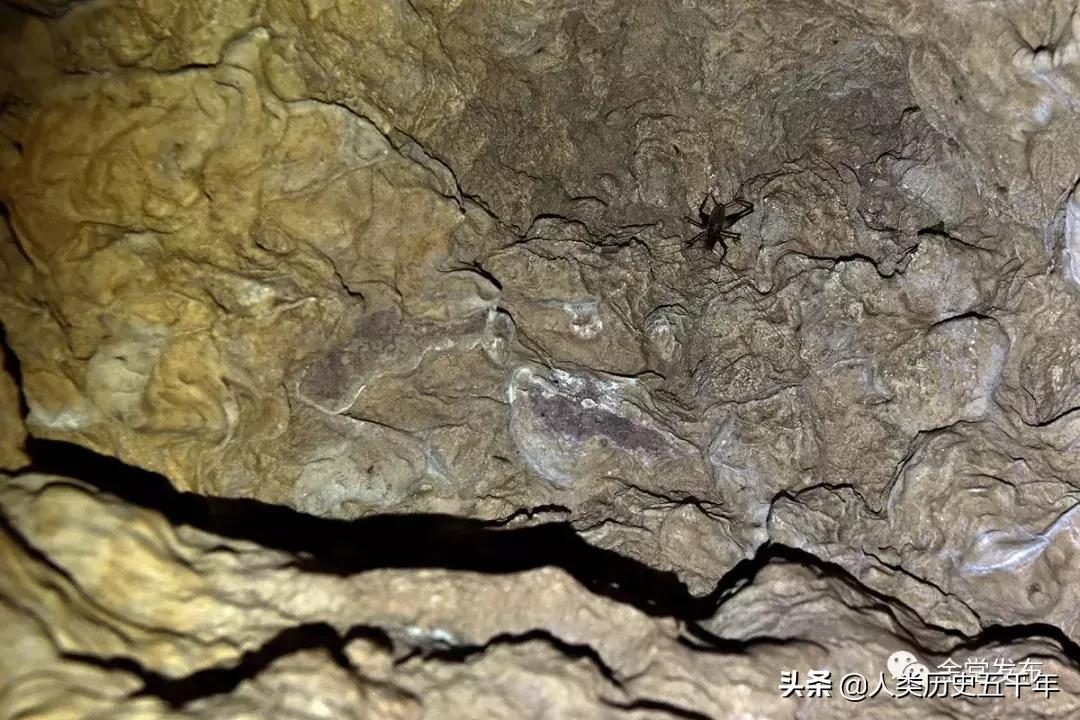大自然怎样写论文毕业论文怎样写才会出彩