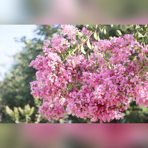 2025.11.17佛山今日气温变化情况