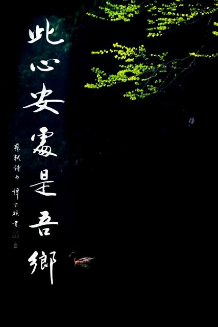 如何培养孩子的独处能力 如何培养孩子的独处能力