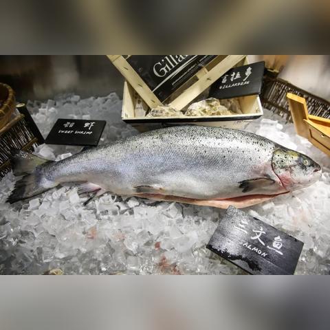 日料店宁波的相关长尾关键词有哪些