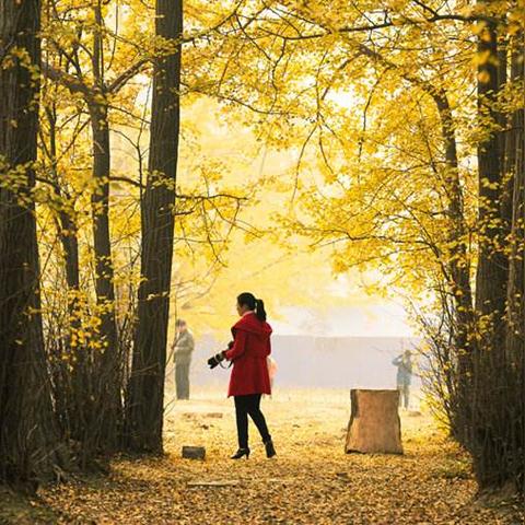 临沂市聚才五路是哪个区