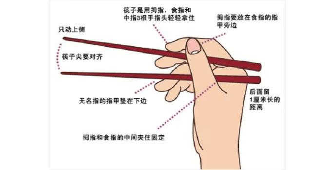 几岁可以教宝宝用筷子