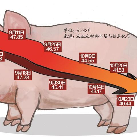 【厦门今日生猪价格】2025年4月17日厦门生猪价格是多少