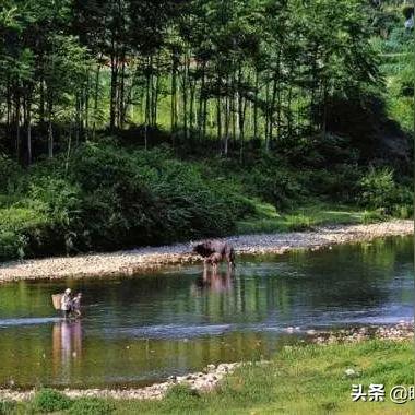 【鸭途天津】长尾关键词有什么