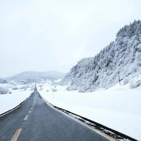 过年去重庆打工怎么样呢