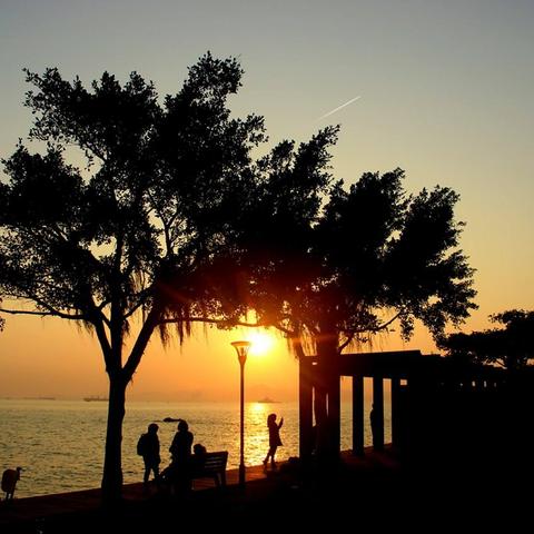 厦门木栈道起点和终点？